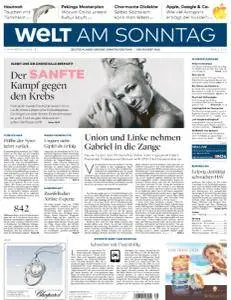 Welt am Sonntag - 18 September 2016