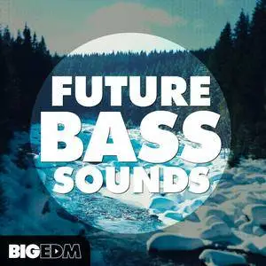 Big EDM Future Bass Sounds WAV MASSiVE SERUM