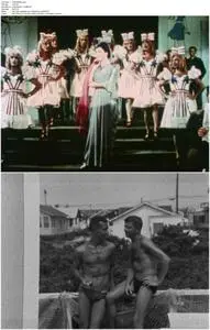 Before Stonewall (1984)