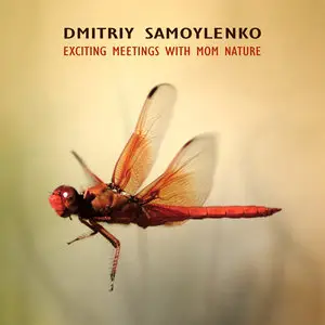 Dmitriy Samoylenko - Complete Discography 2009-2010 (5CD Set) (2012)