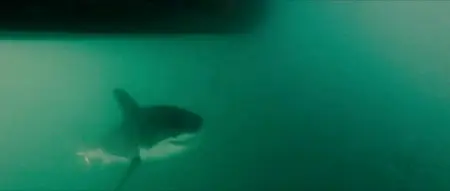 Dark Tide (2012)