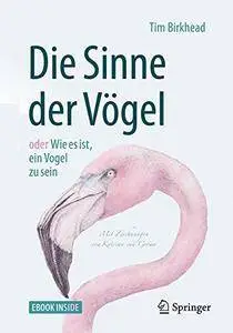 Die Sinne der Vögel oder Wie es ist, ein Vogel zu sein: Mit Zeichnungen von Katrina van Grouw