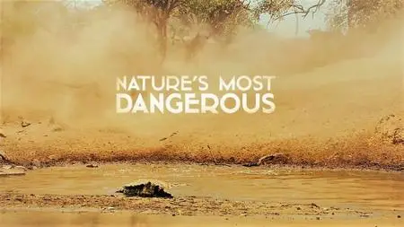 Doclights - Nature's Most Dangerous (2021)