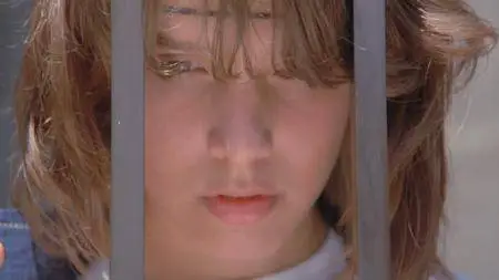 Der Fan (1982)