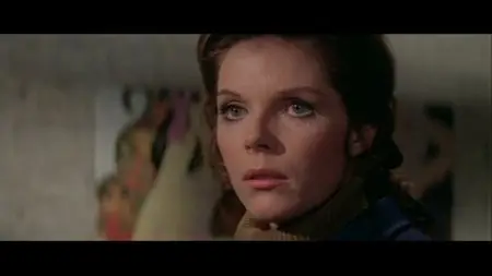 The Walking Stick (1970)