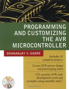 Programming and Customizing the AVR Microcontroller (Repost)
