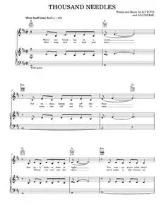 Thousand needles - Lea Michele (Piano-Vocal-Guitar)