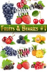 Fruits and berries #1 - Stock Photo