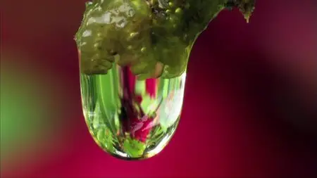 Water Life - Planet Water (2009)