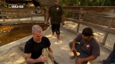 National Geographic Wild - Animal Underworld: Fatal Obsession (2012)