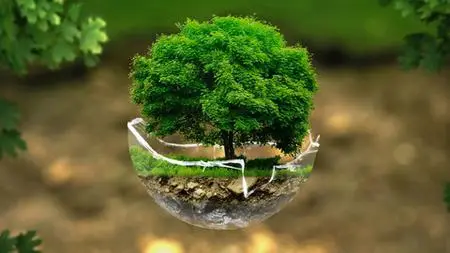 Environment And Ethics: A Basic Course