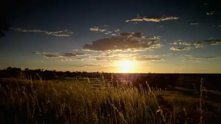 Le Voyage De La Vie (E01/06) Premiers Pas (2014)