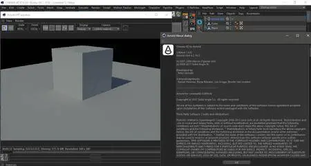 Solid Angle Cinema4D to Arnold 1.8 for Cinema4D R16-R18