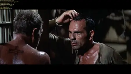 Papillon (1973)