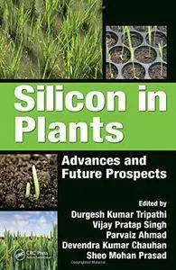 Silicon in Plants: Advances and Future Prospects