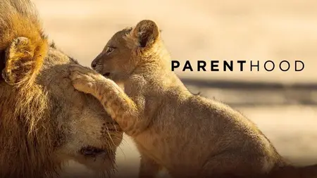 CBC - Parenthood (2025)