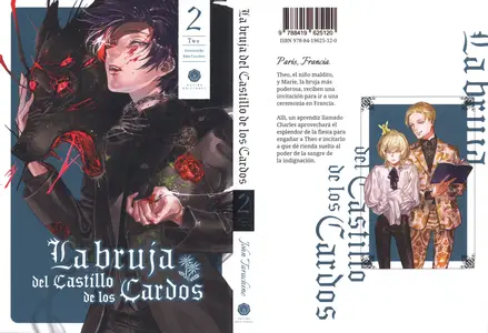 La Bruja del Castillo de los Cardos Tomo 2 (de 4)