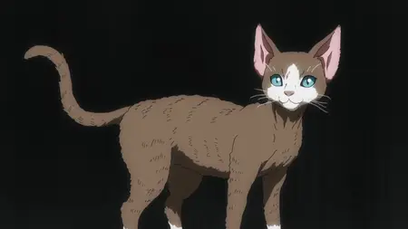 Nyaight of the Living Cat - 07 (1080p