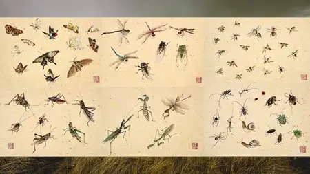 Relax With Chinese Painting - Insects