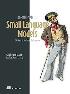 Domain-Specific Small Language Models: Efficient AI for local deployment
