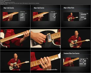 Learn & Master Blues Guitar with Steve Krenz [repost]