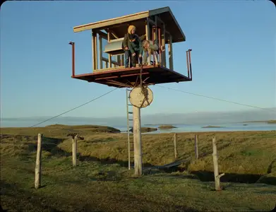 Nest (2022)
