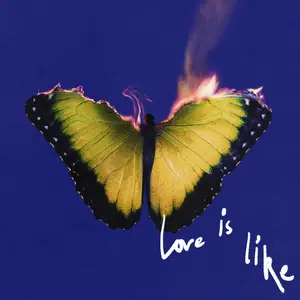 Maroon 5 - Love Is Like (2025) [Official Digital Download]