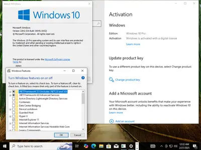 Windows 11 Pro 24H2 Build 26100.3321 (No TPM Required) & Windows 10 Pro 22H2 build 19045.5552 Multilingual Preactivated