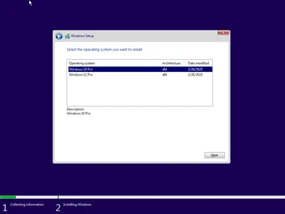 Windows 11 Pro 24H2 Build 26100.3321 (No TPM Required) & Windows 10 Pro 22H2 build 19045.5552 Multilingual Preactivated