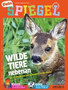 Dein Spiegel - Juli 2023