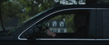 Bloodline Killer (2024)