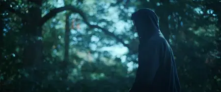 Bloodline Killer (2024)