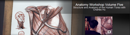 The Gnomon Workshop Anatomy Workshop Volume Five