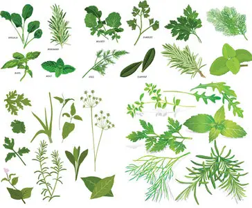 Herbal Collection