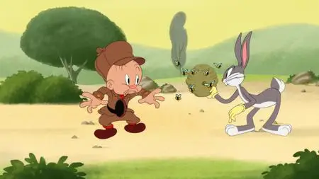 Looney Tunes Cartoons S05E14