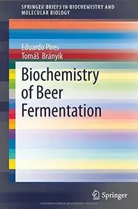 Biochemistry of Beer Fermentation (Repost)