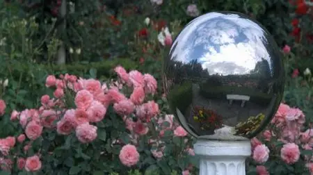 HD Moods: Flowers (2008)