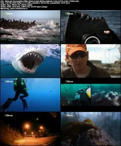 National Geographic Killer Shots Great White Ambush (2011)