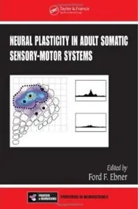 Neural Plasticity in Adult Somatic Sensory-Motor Systems [Repost]
