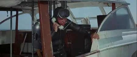 Lady in Cement (1968)