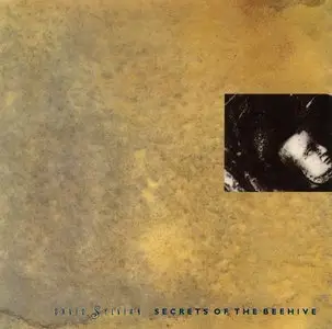 David Sylvian - Weatherbox (1989) {5CD Box Set + DVD, Virgin Records DSCD1 rec 1983-1987}