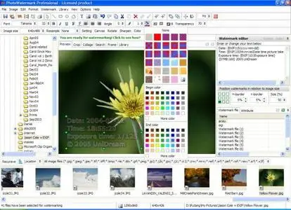 PhotoWatermark Professional ver. 6.2.0.1