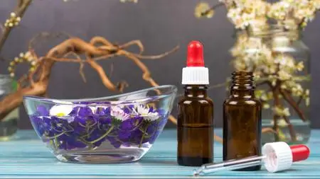 The Complete Bach Flower Remedies Certificate Course