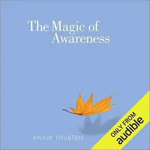 The Magic of Awareness [Audiobook]