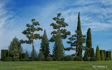 3DMentor – HQ Plants 2