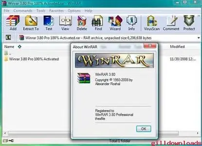 WinRAR 3.80 Professional 