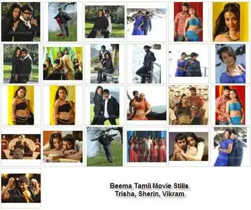 Beema Tamil Movie Stills ( Trisha, Sherin, Vikram )