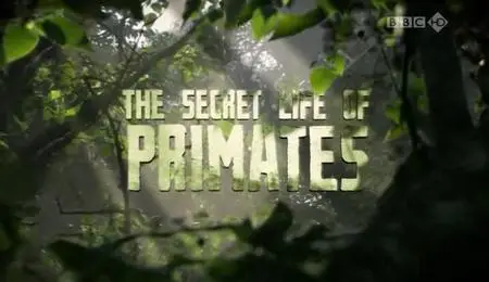 BBC - The Secret Life of Primates (2009)