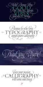 Dream Script Pro Font Family