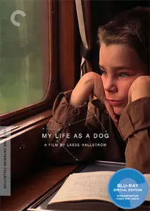My Life As A Dog (1985) Criterion Collection [Reuploaded]